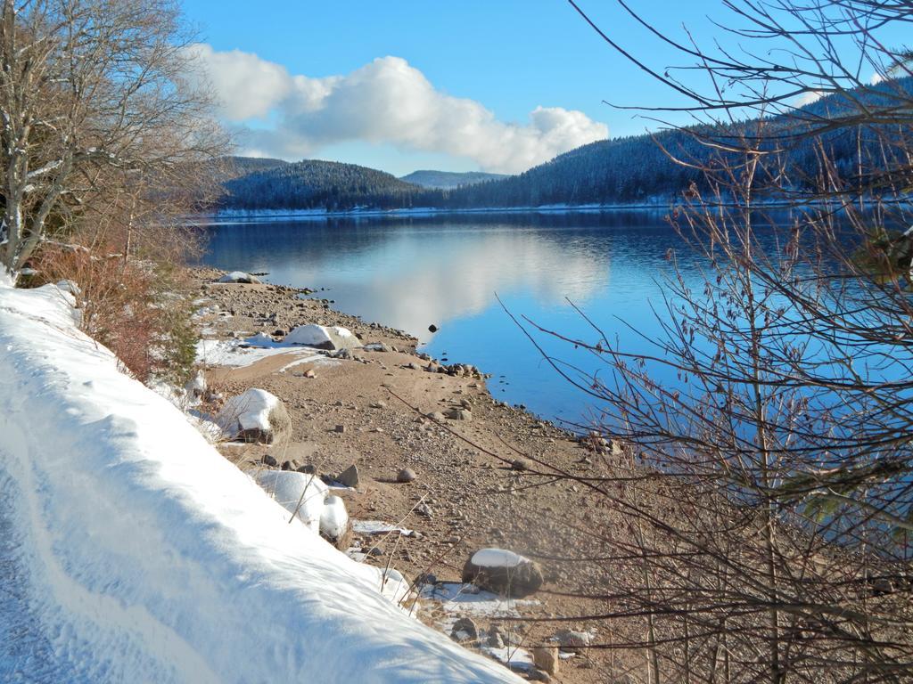 Hochschwarzwald-Hof Hotel Schluchsee Bagian luar foto