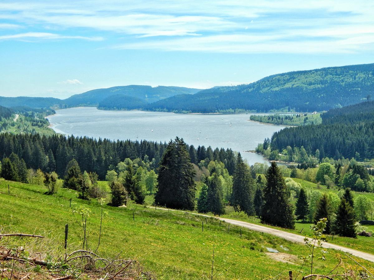 Hochschwarzwald-Hof Hotel Schluchsee Bagian luar foto